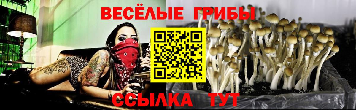 Галлюциногенные грибы MAGIC MUSHROOMS Ноябрьск