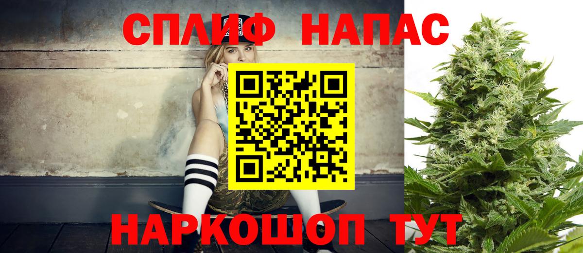Бошки Шишки гибрид Ноябрьск
